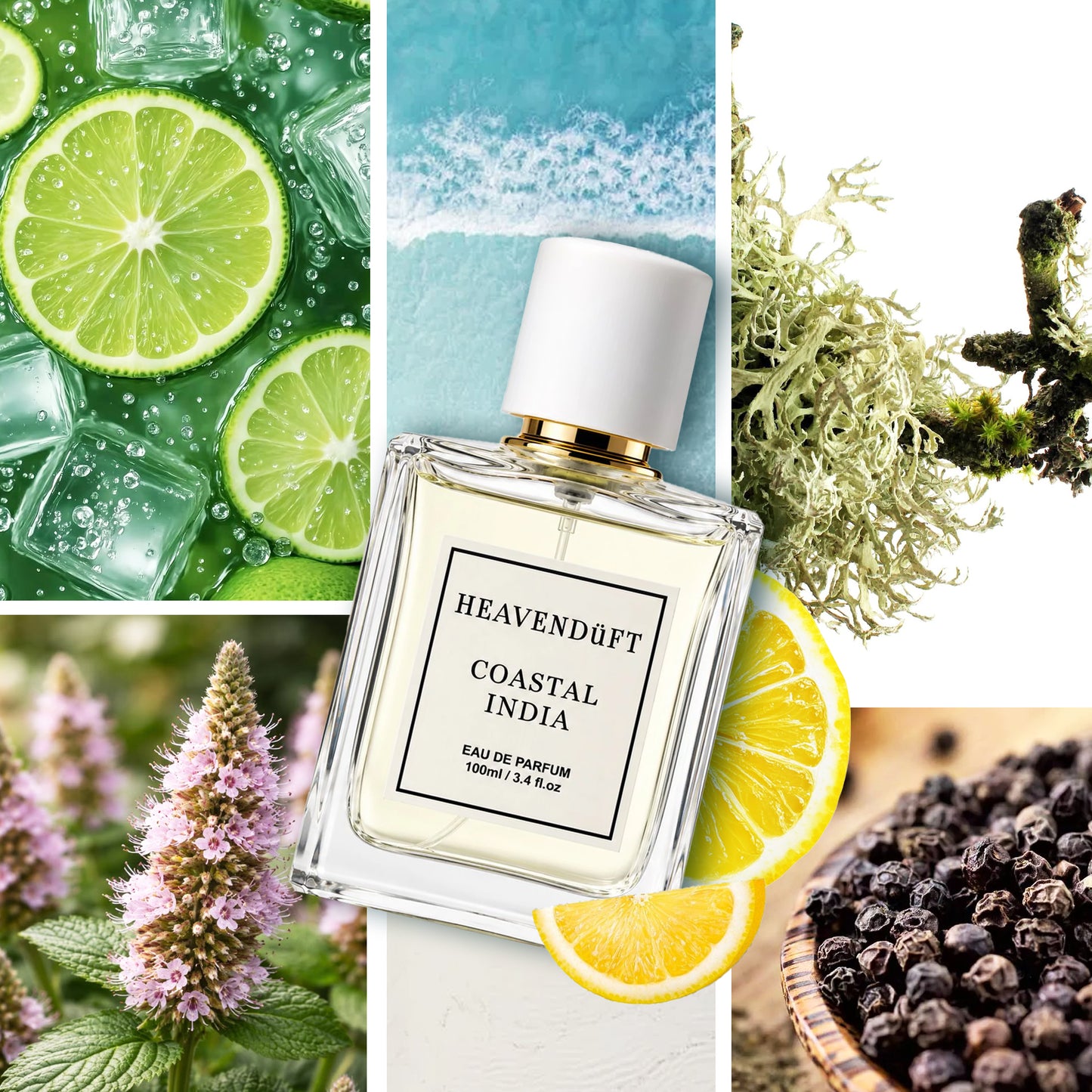 COASTAL INDIA EDP